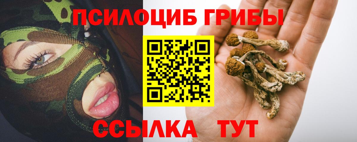 Галлюциногенные грибы Magic Shrooms Новосибирск